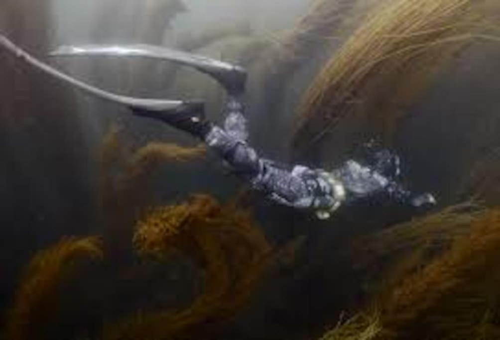 Gite Entre Mer Et Abers Landéda Exteriér fotografie