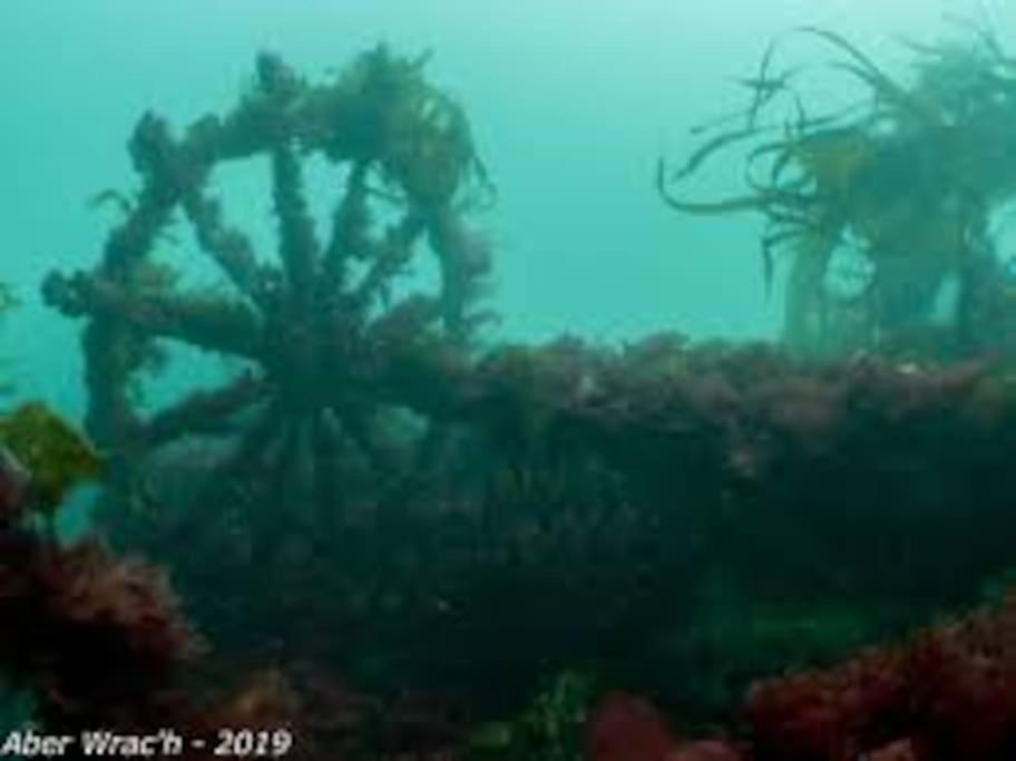Gite Entre Mer Et Abers Landéda Exteriér fotografie