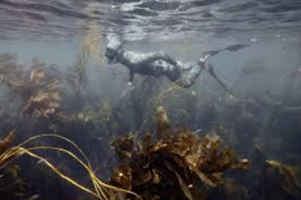 Gite Entre Mer Et Abers Landéda Exteriér fotografie