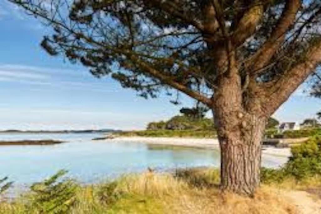Gite Entre Mer Et Abers Landéda Exteriér fotografie